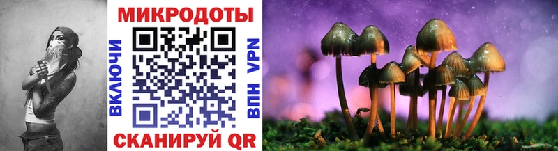 дарк нет наркотические препараты  Сясьстрой  Псилоцибиновые грибы GOLDEN TEACHER 
